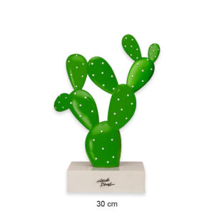 Cactus Palais Royal piccolo