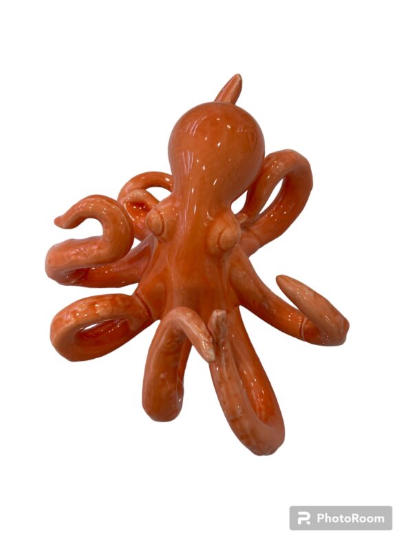 Polpo arancione