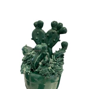 Cactus Caltagirone
